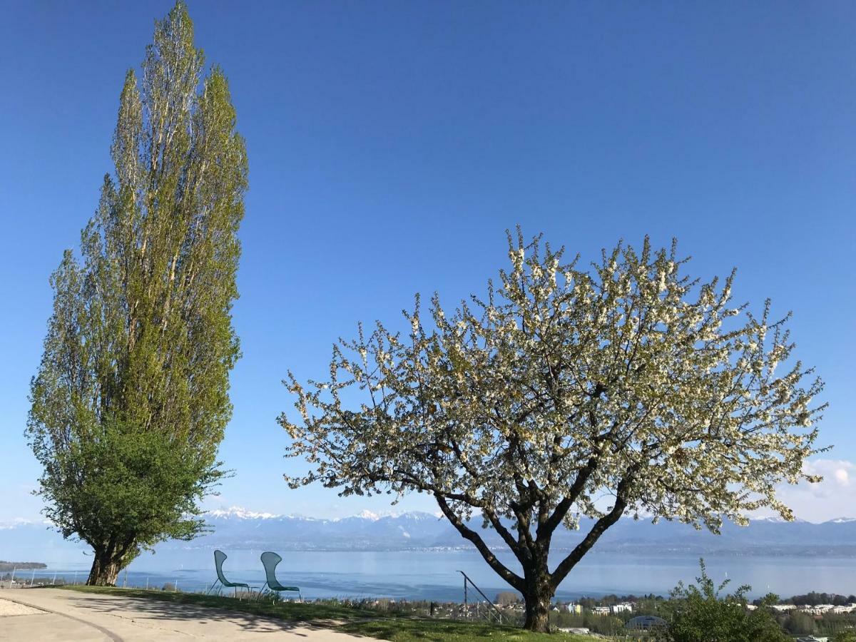 מלון רולה Domaine Beauregard מראה חיצוני תמונה